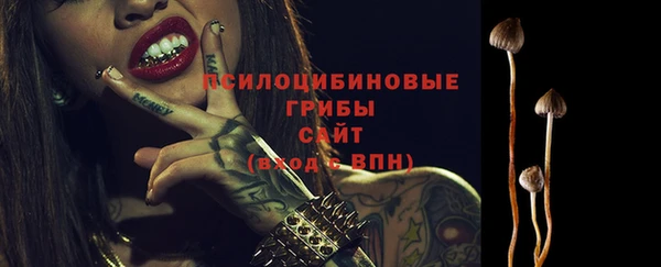 гашик Баксан