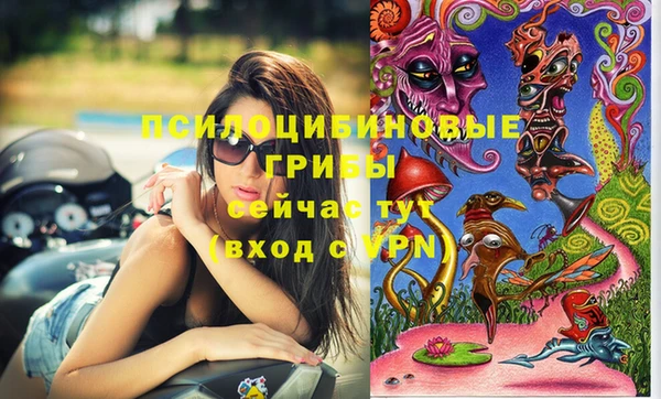 СК Балахна
