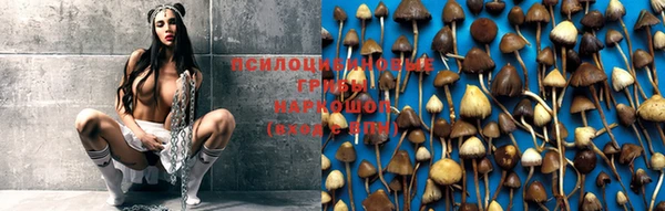 молекула духа Белокуриха