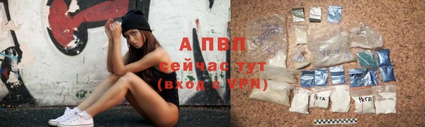 гашик Баксан